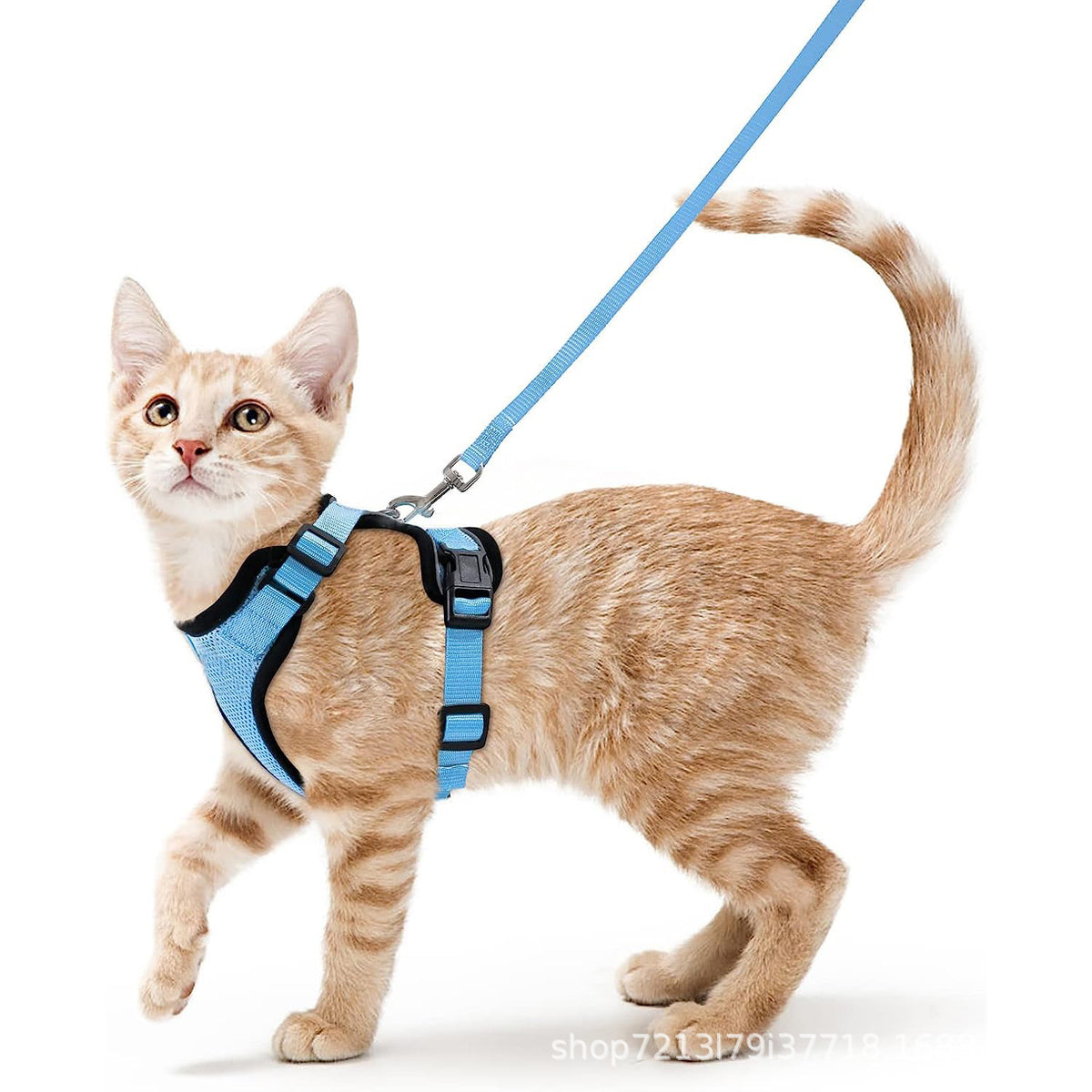 Mesh pet harness sets shown in eleven colours