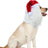 Lion mane and Christmas hat pet costume, detail photo 5