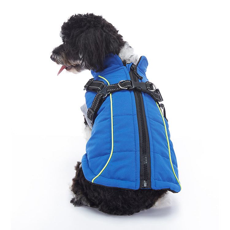 Reflective waterproof dog coat with lamb fleece lining in Bordeaux, in a home setting