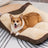 Bolster Dog Sofa Bed for Winter Warmth, Washable Plush Mat