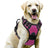 Nylon vest dog harness with matching lead in peacock blue