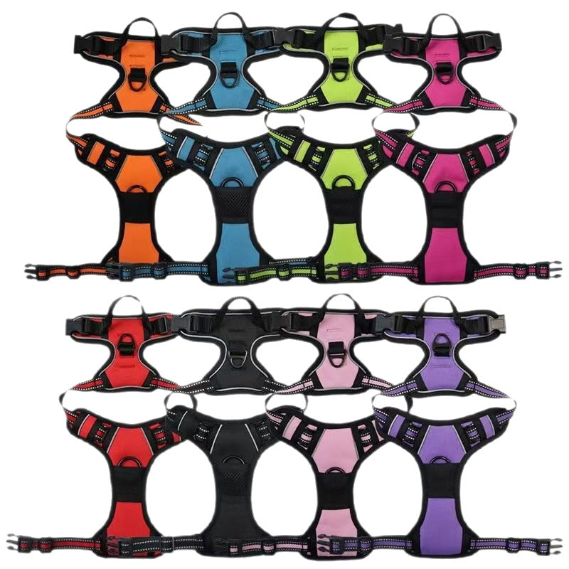 Nylon vest dog harness with matching lead in peacock blue