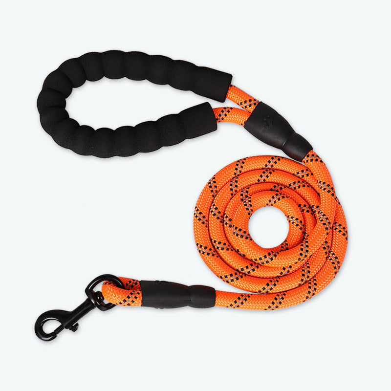 Reflective nylon dog lead in fluorescent green on a walk