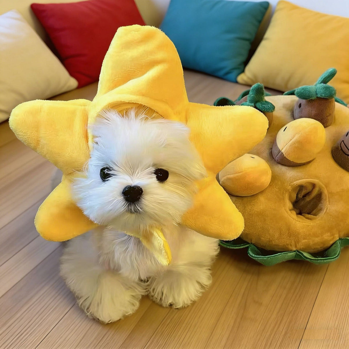 Cute animal headgear hat for cats and small dogs in Banana, top view