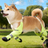 Anti-slip dog shoes with TPE soles and straps, product image 1