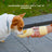 Pet Water Bottle