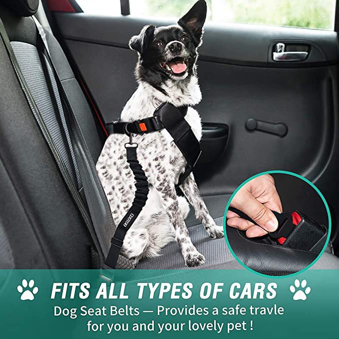Reflective nylon dog car seat belt lead in black, 80cm long