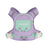 Small breed vest dog harness, main product photo