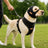 Black reflective anti-escape dog harness with headwear, product image 1