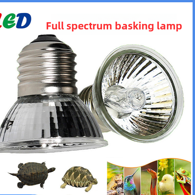 Reptile basking heat lamp bulb for tortoises and lizards, photo 1 of 10