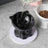Cute Ceramic Raised Cat Bowl with Bell Detail and Anti-Spill Stable Base in Four Colours