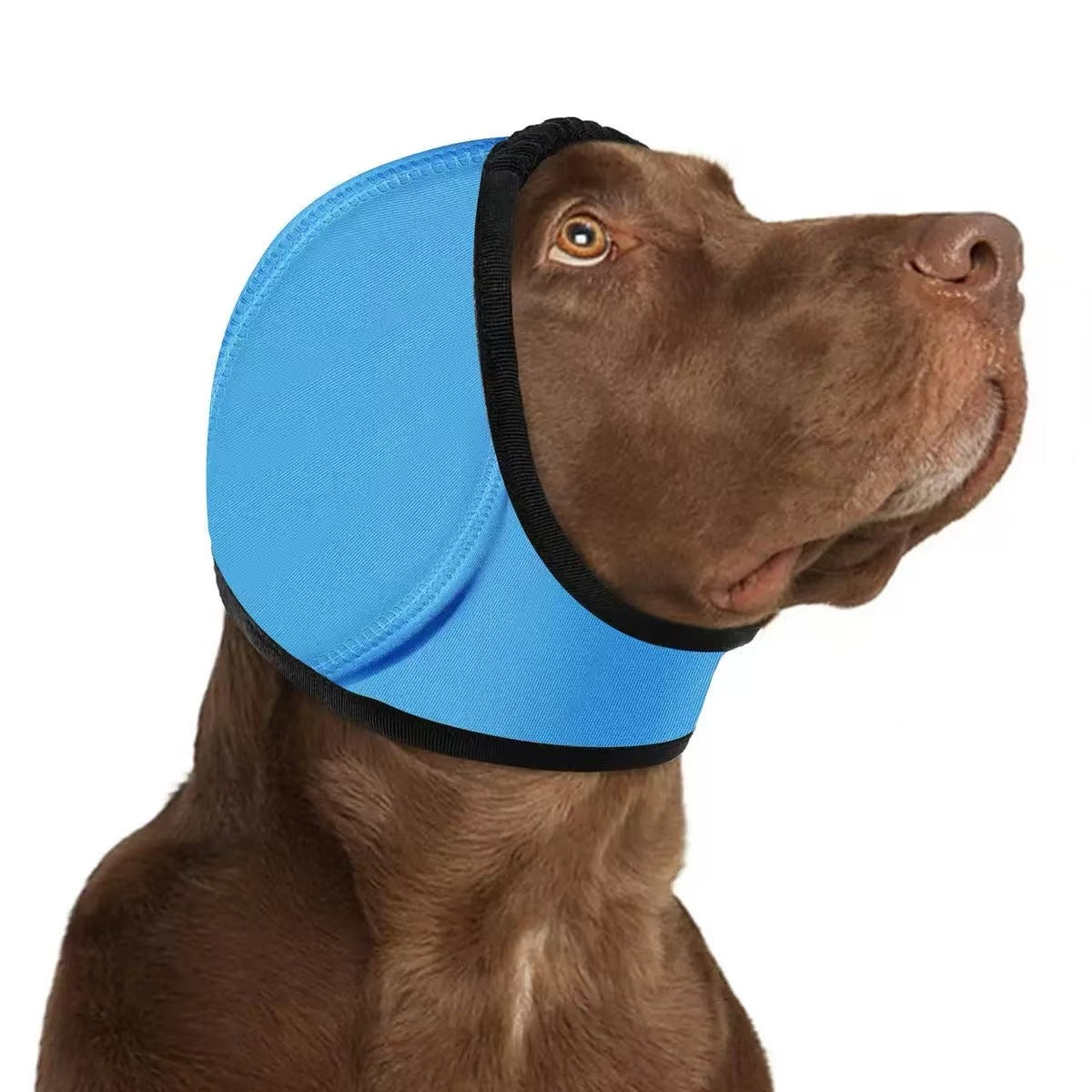Calming Dog Hood, Neoprene Ear Wrap for Grooming and Noise Anxiety