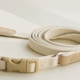 Teddy bear print small dog harness, available from Pet Royale UK