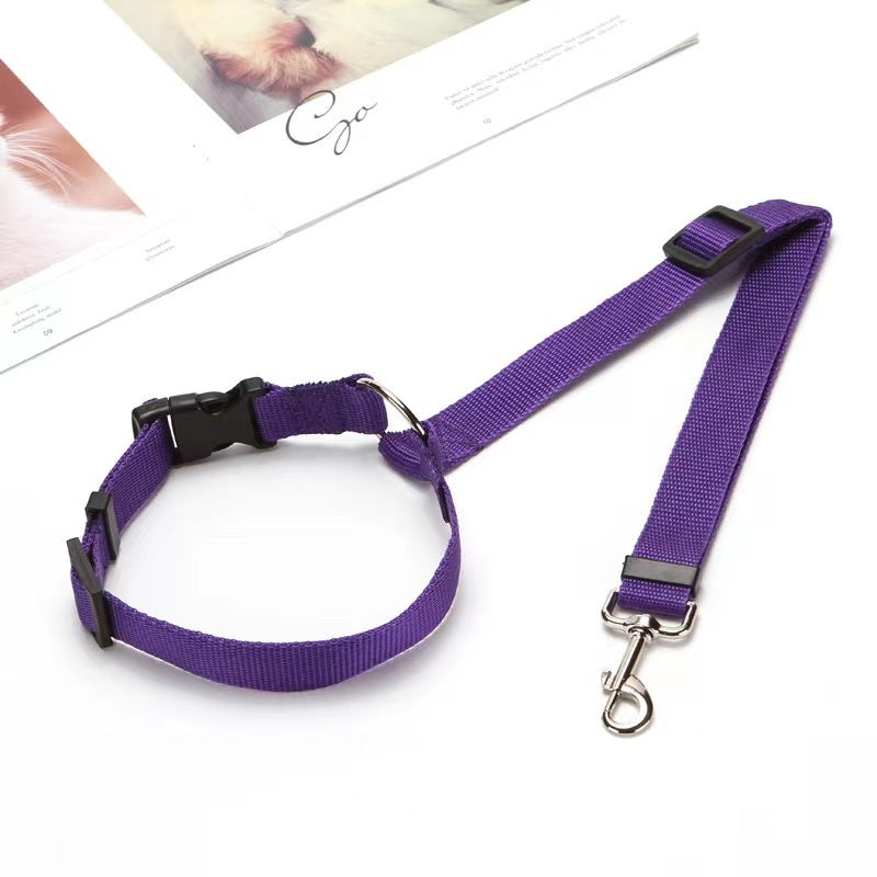 Pet car restraint looped around rear headrest for safe travel