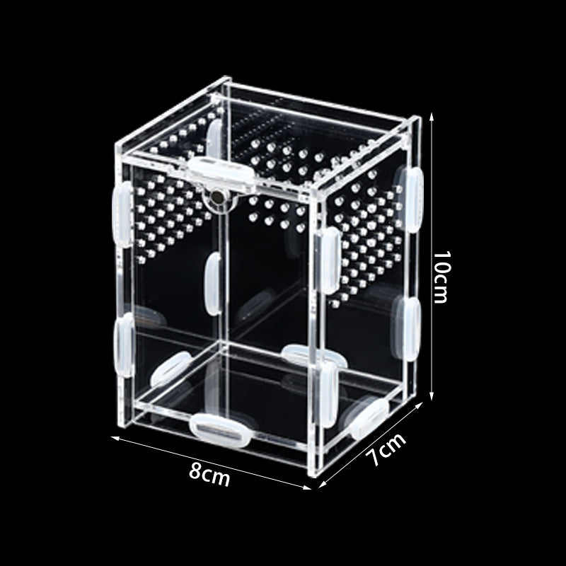 Clear acrylic reptile habitat box, extra detail view