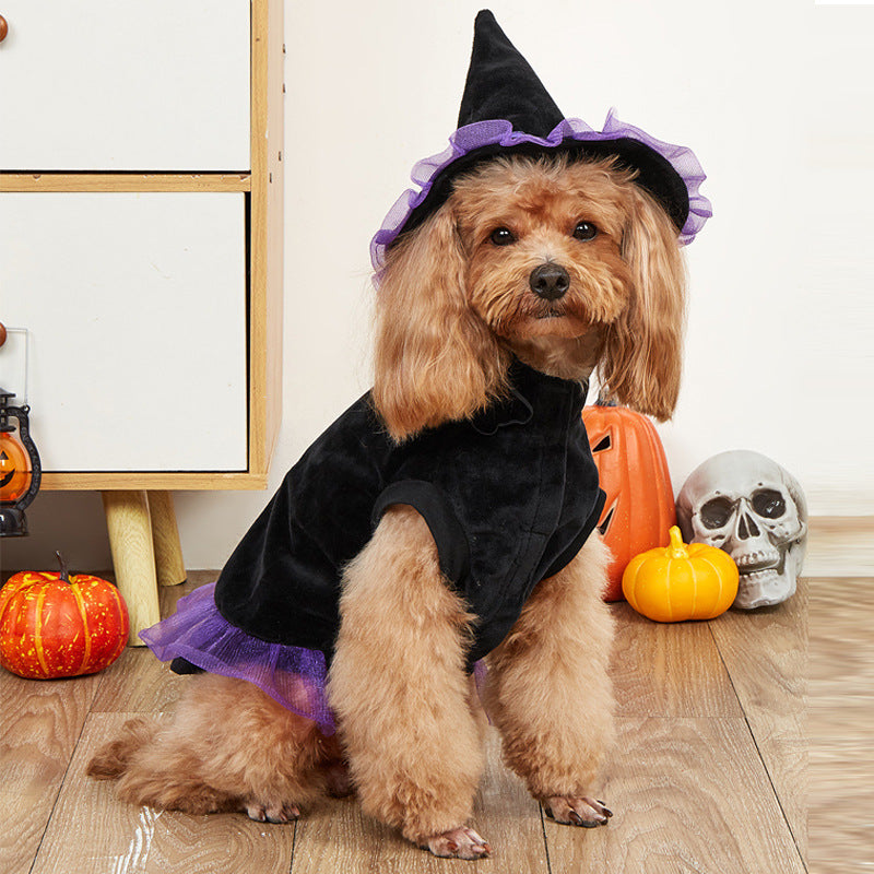 Purple wizard Halloween costume for dogs and cats in Purple, front view