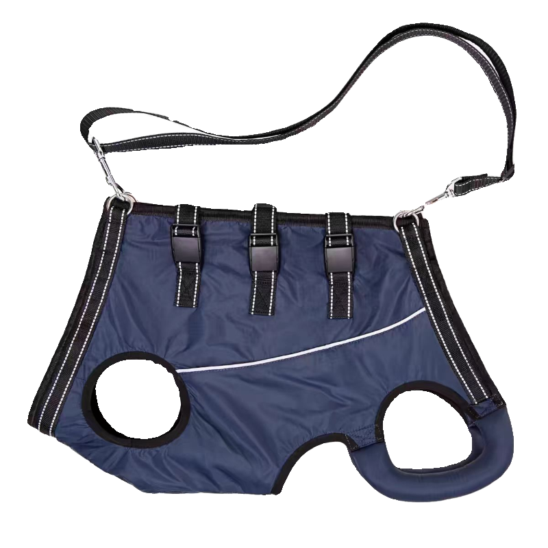Dog support harness with handles for stairs and car access
