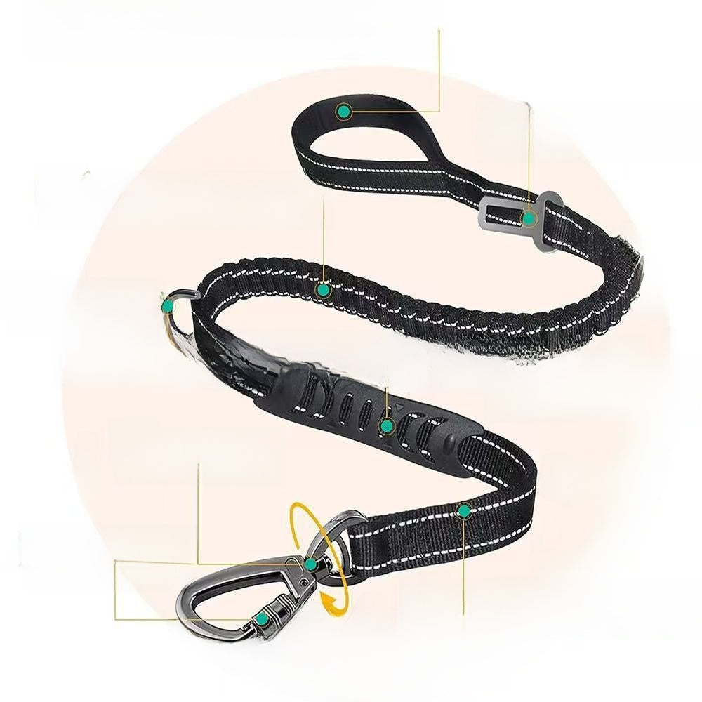 Nylon dog lead with car seat belt clip for large dogs, available from Pet Royale