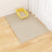 Anti-Slip Double Layer Cat Litter Control Mat