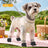 Four leg dust proof dog suit, available in 18 styles, image 43