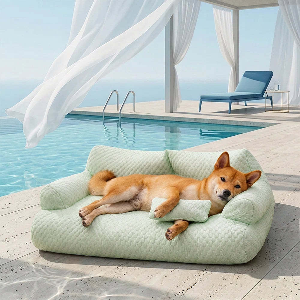 Removable washable dog sofa bed in blue with sponge pellet filling