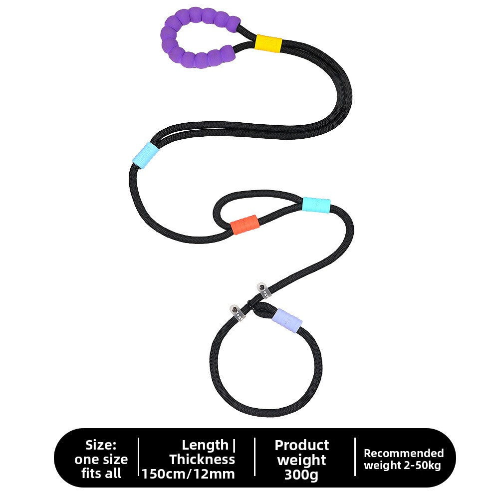 Bright nylon dog lead in vivid colour, product image 27
