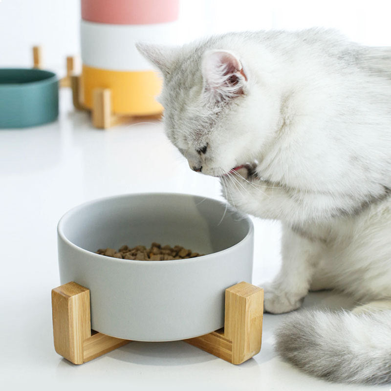 Ceramic cat bowl on a raised wooden stand in white