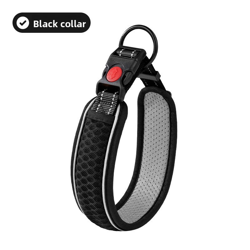 Adjustable dog collar with optional lead, available from Pet Royale UK