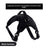 Nylon dog harness with thick eight strand rope lead in red