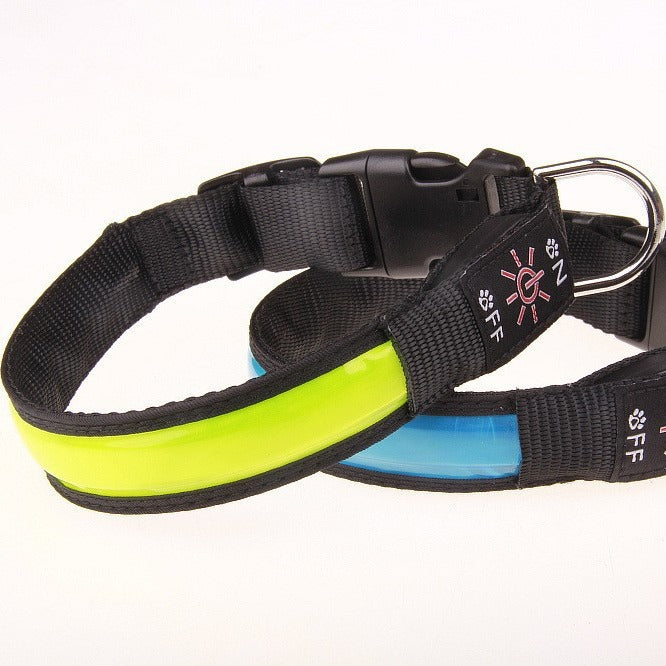 USB rechargeable LED dog collar, main product photo