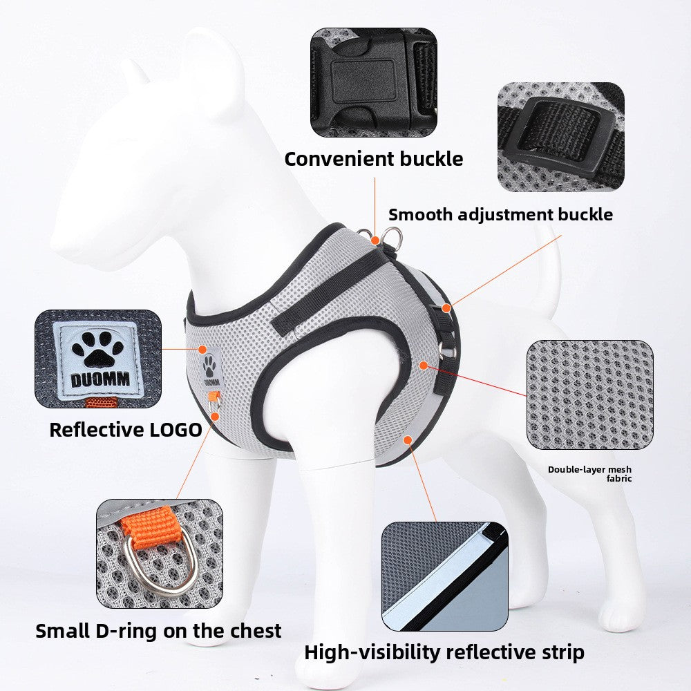 Breathable mesh pet harness and lead set, ideal for everyday use
