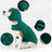 Adjustable green stretch dog comfort vest with snug fit in Green, front view
