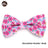 Floral fabric dog collar with gold buckle in Black Champagne Stripe Bow, front view