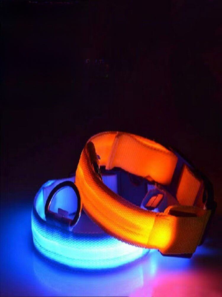 Light up dog collar with reflective strip glowing at night, product image 4