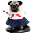 Pet Costume 3D Transformation Outfit