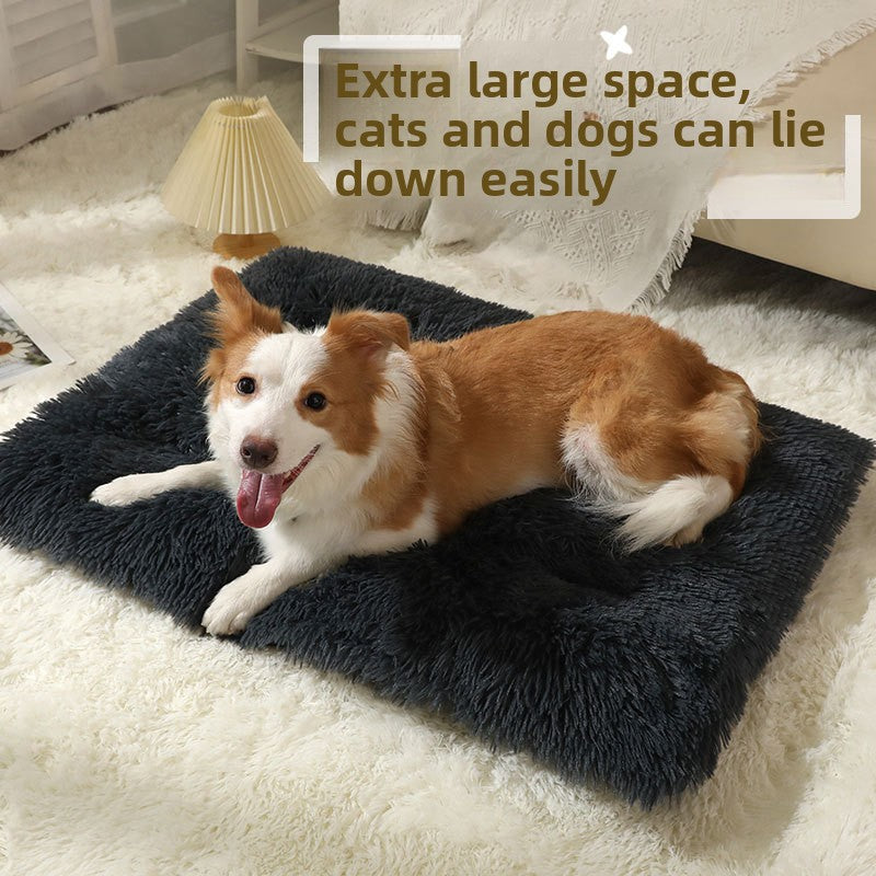 Plush winter pet pad for crates and kennels, photo 2 of 61