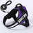 Adjustable polyester vest dog harness with 1.5m lead, available from Pet Royale UK