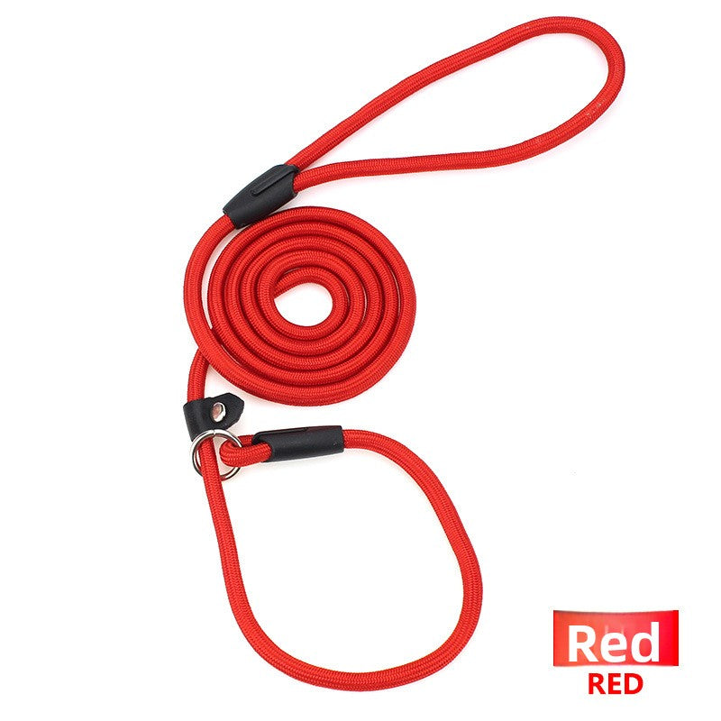 Nylon rope slip lead for dogs, 3 sizes available