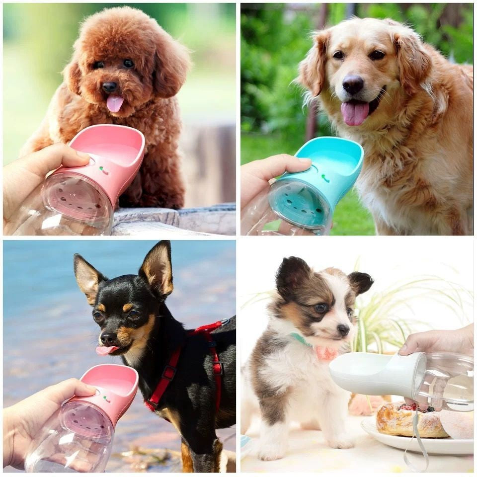 Portable Pet Water Bottle with Carrying Rope, 350ml or 550ml Leakproof Walking Bottle