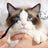 Pet Tear Stain Remover Cream with Brush, Gentle Eye Area Care