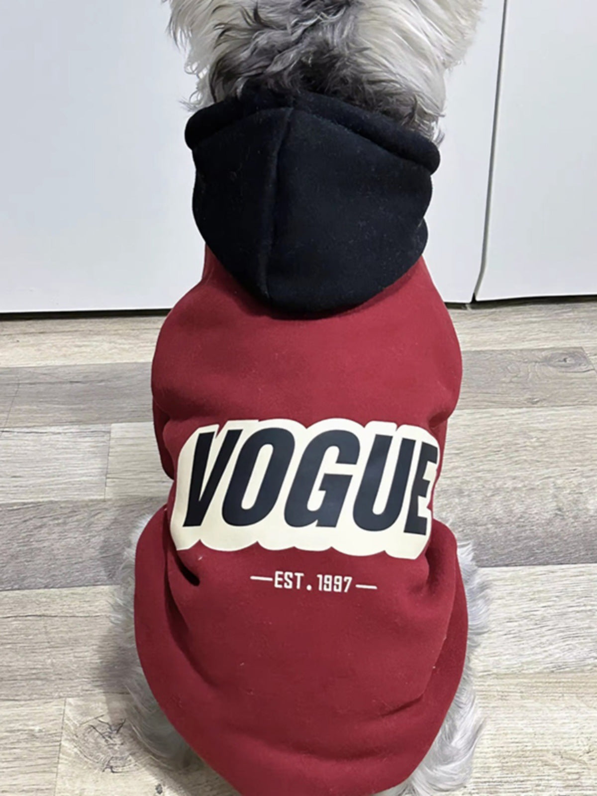 Two tone hooded sweatshirt for dogs and cats, available in 4 styles, image 3