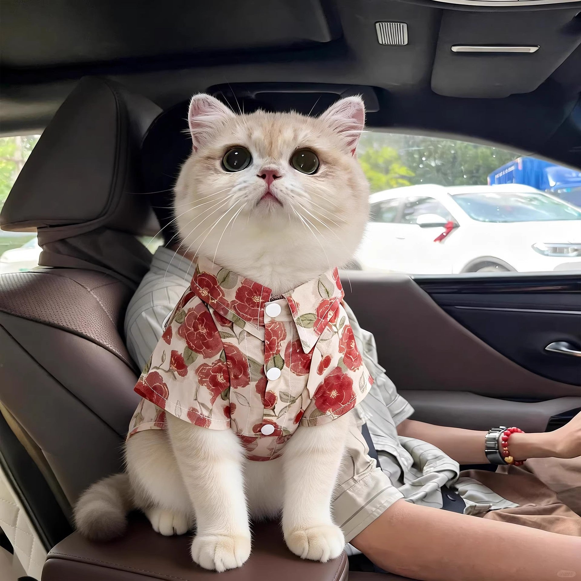 Summer shirt and vest for cats and small dogs, available in 21 styles, image 2