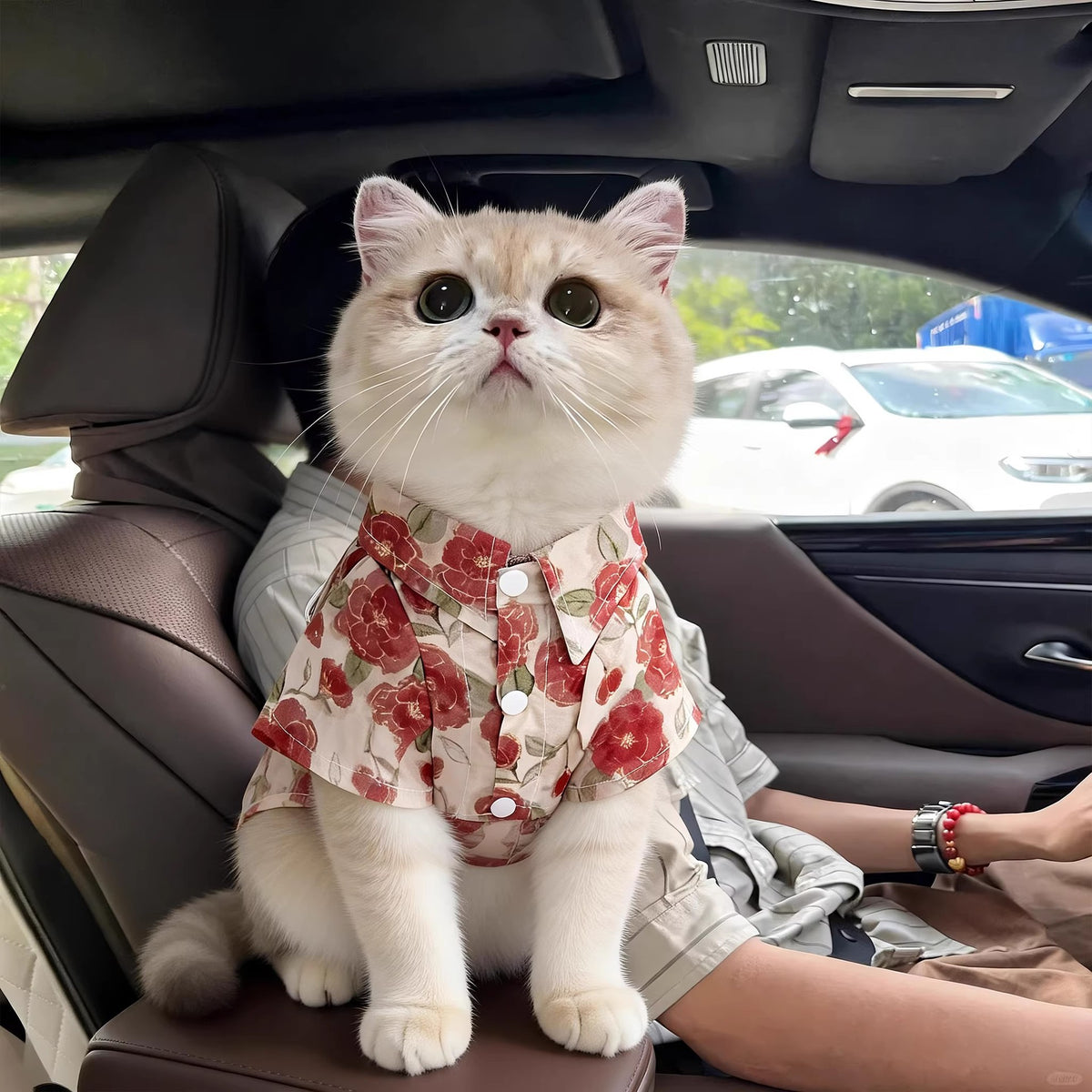 Summer shirt and vest for cats and small dogs, available in 21 styles, image 2