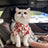 Summer shirt and vest for cats and small dogs, available in 21 styles, image 2