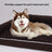Light grey large dog sofa bed with bolster sides and removable cover, photo 2