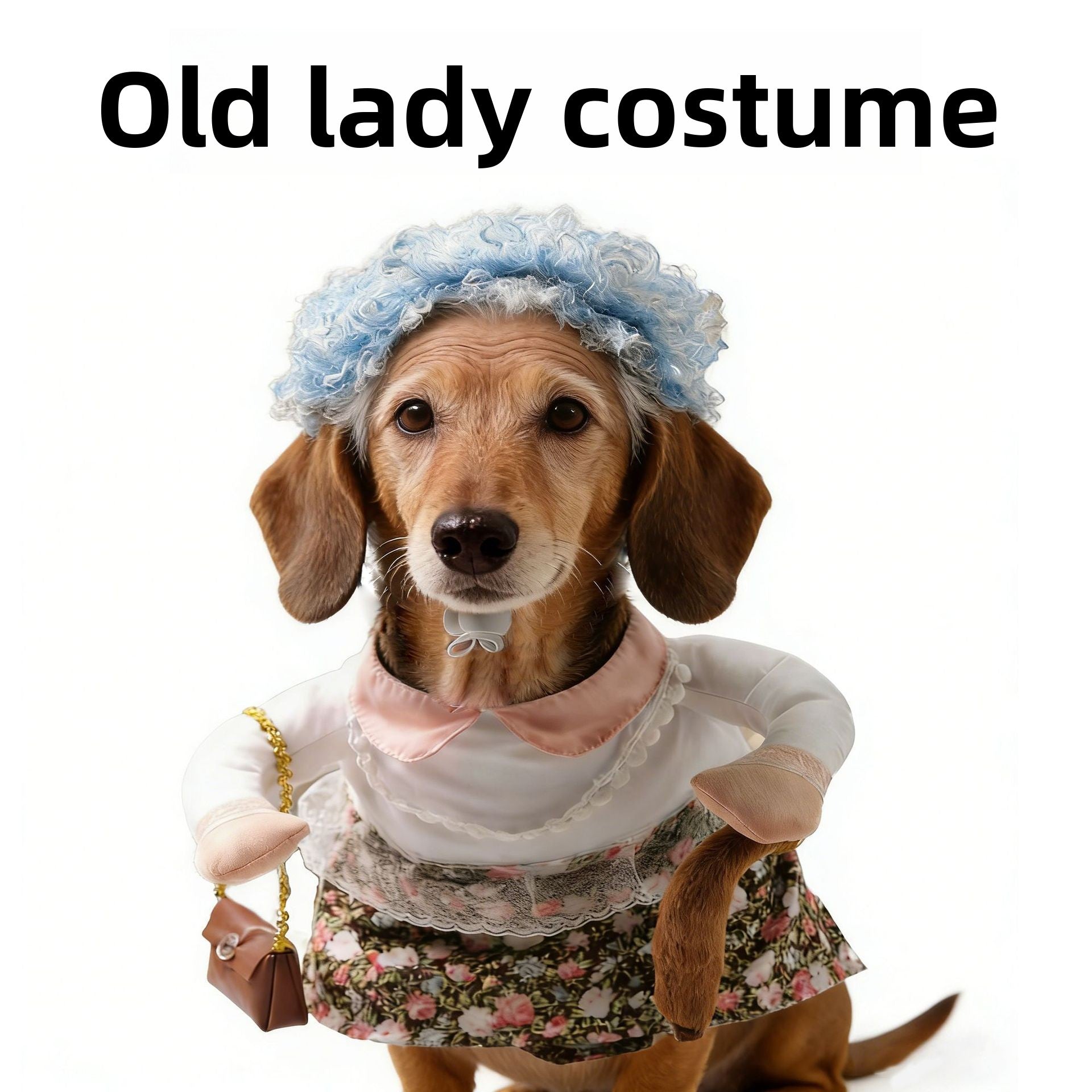 Funny pumpkin and spider Halloween costume for dogs and cats, image 17