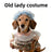 Funny pumpkin and spider Halloween costume for dogs and cats, image 17