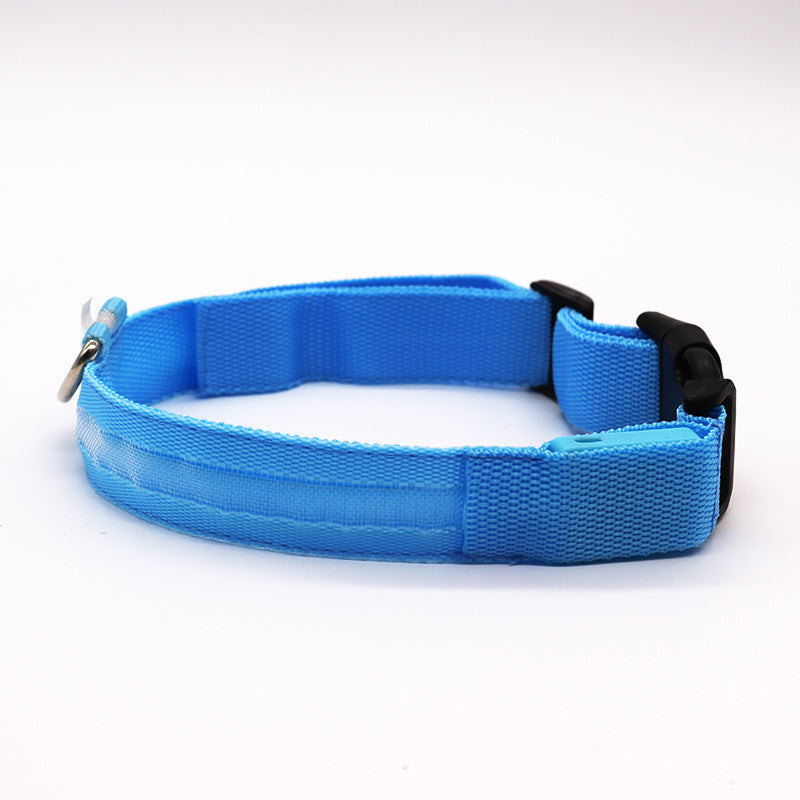 Light up pet collar with breakaway clasp glowing at night, product image 12