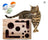 Solid wood cat maze puzzle toy with balls, extra detail view