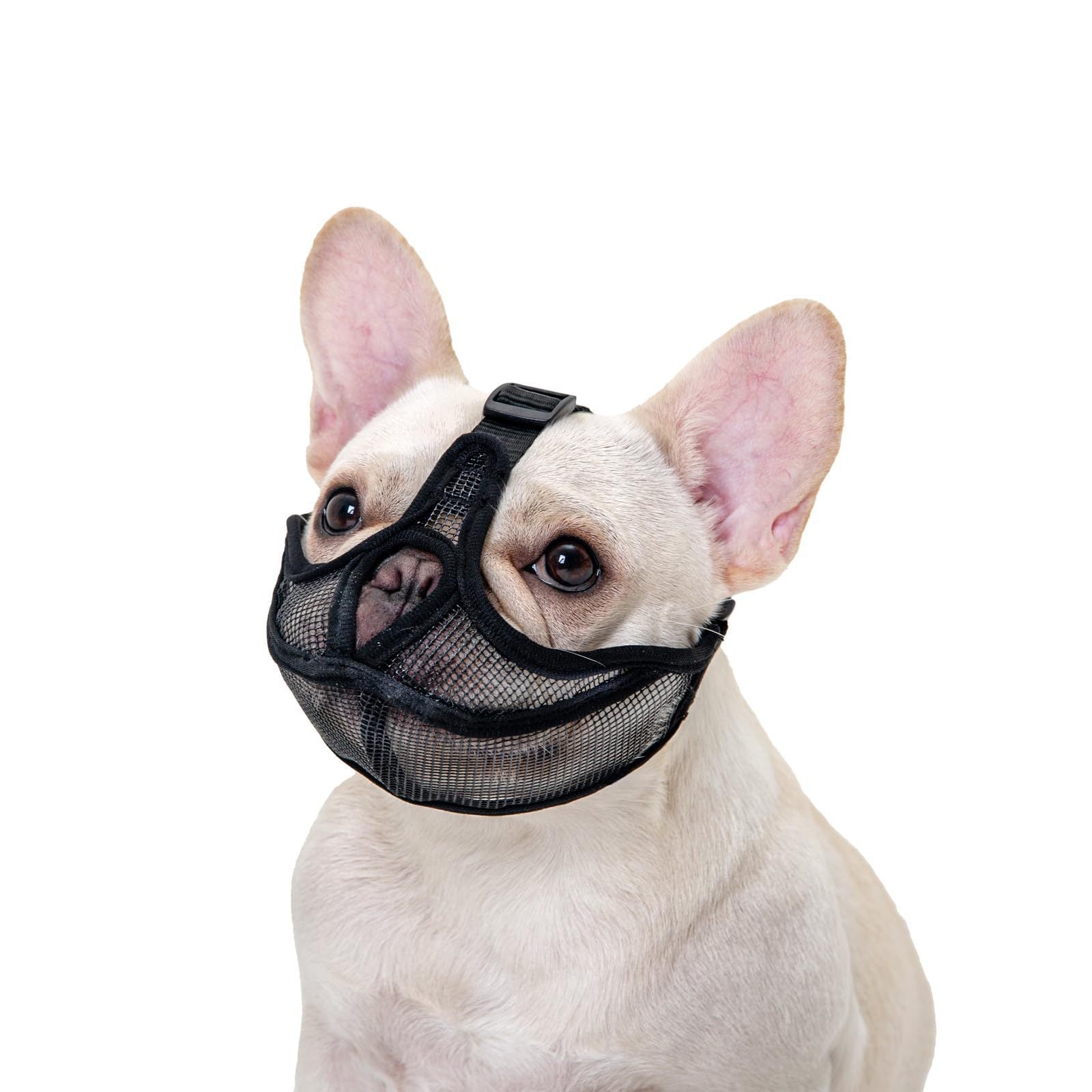 Breathable mesh muzzle for flat-faced dogs, product image 8